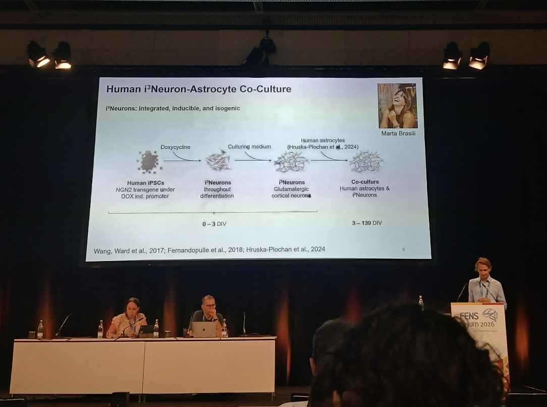 Müller Lab at FENS 2026